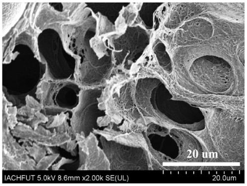 Method for removing tetracycline antibiotics in water