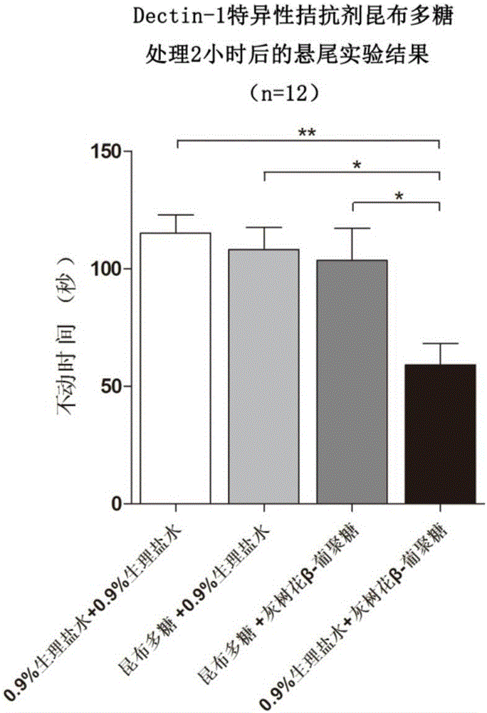 Anti-depression drug taking dendritic cell-associated C type plant lectin-1 as target and screening method of anti-depression drug