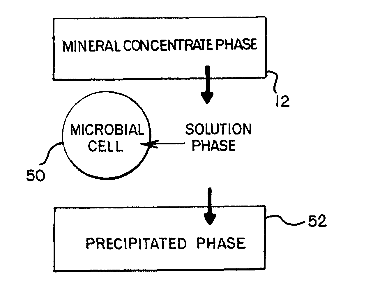 Metal recovery from a tank bioleaching solution with the use of coated magnetic particles