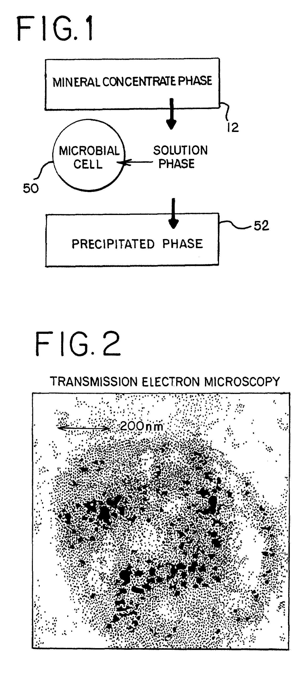 Metal recovery from a tank bioleaching solution with the use of coated magnetic particles