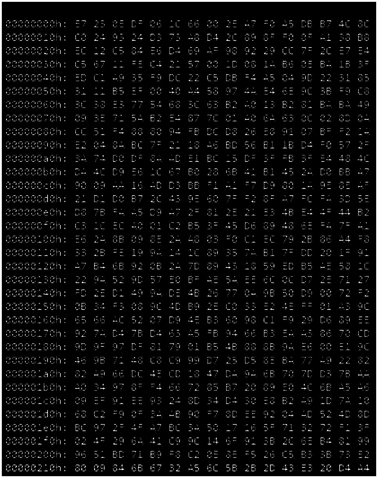 Digital watermark realization method based on video