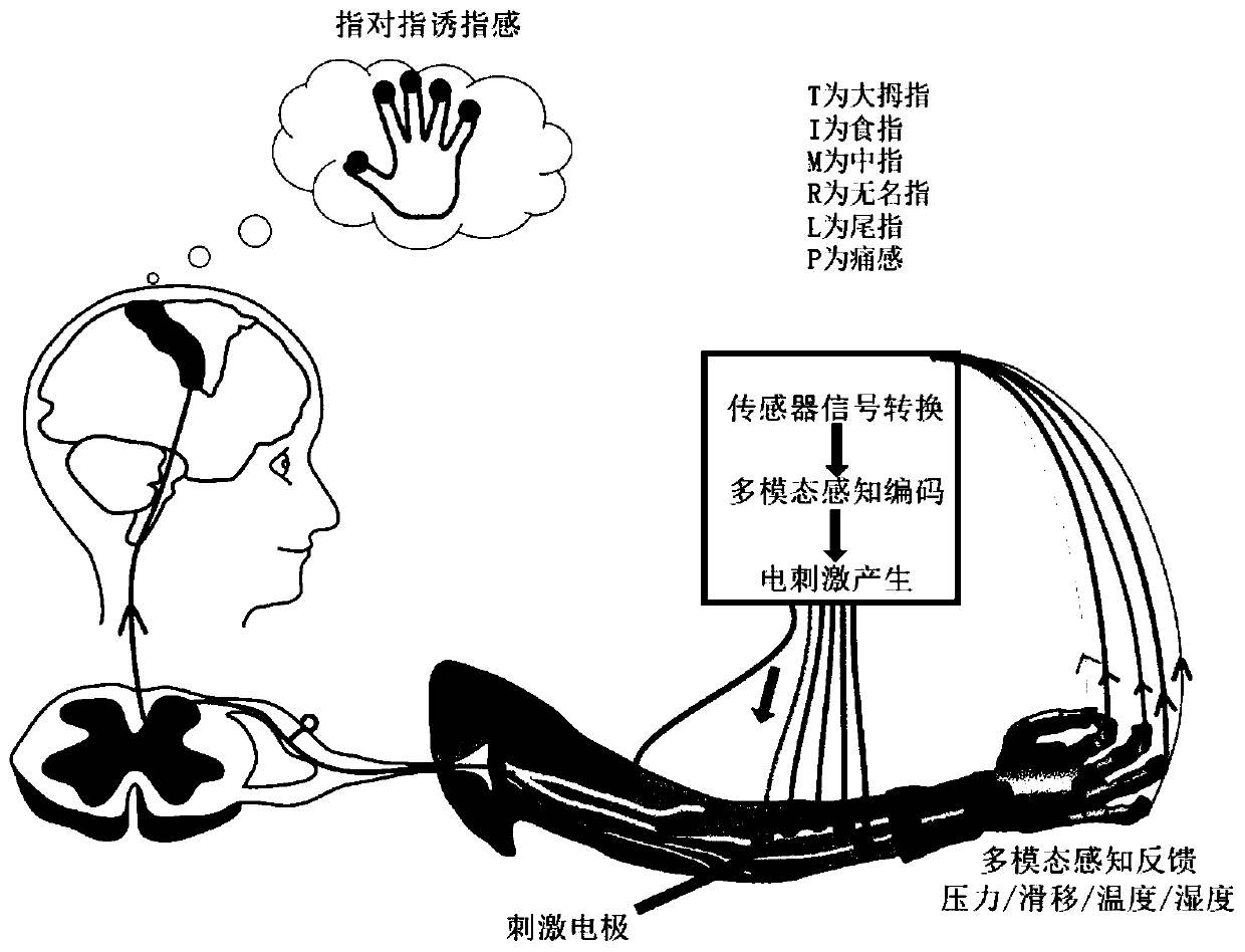 Electrical stimulation system based on multimodality perception feedback