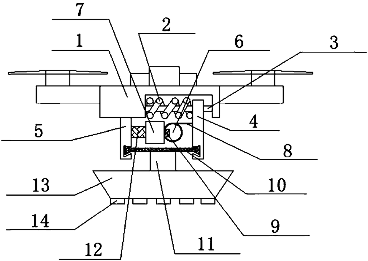 Pesticide spraying device for drone