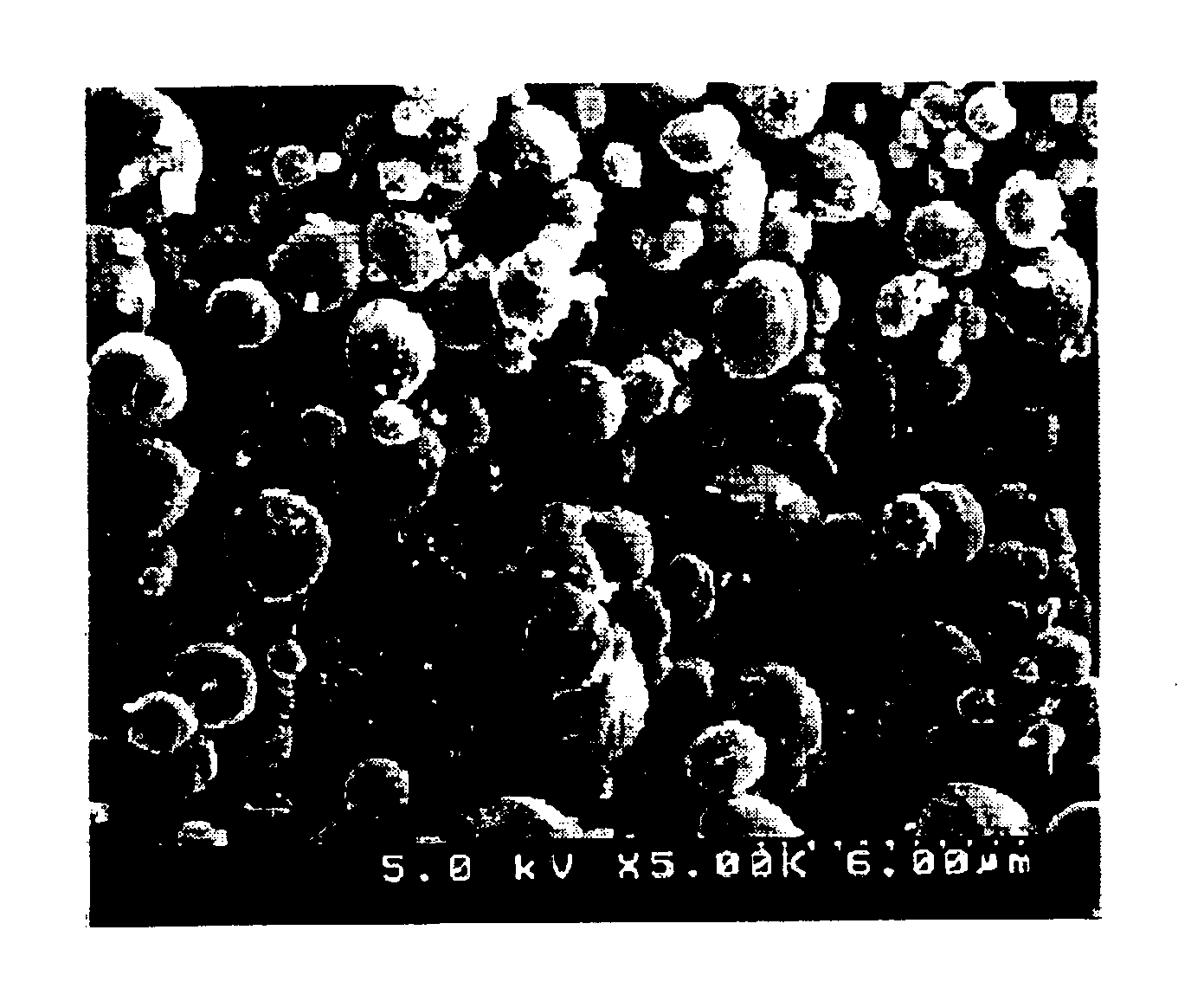 Biodegradable polyester polymer and method for preparing the same using compressed gas