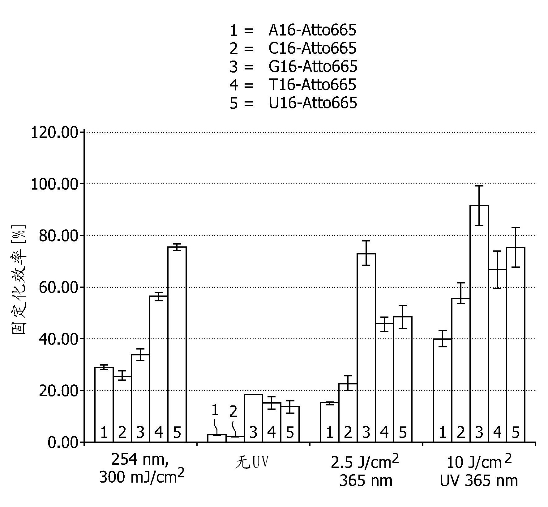 Method for immobilizing nucleic acids on a support