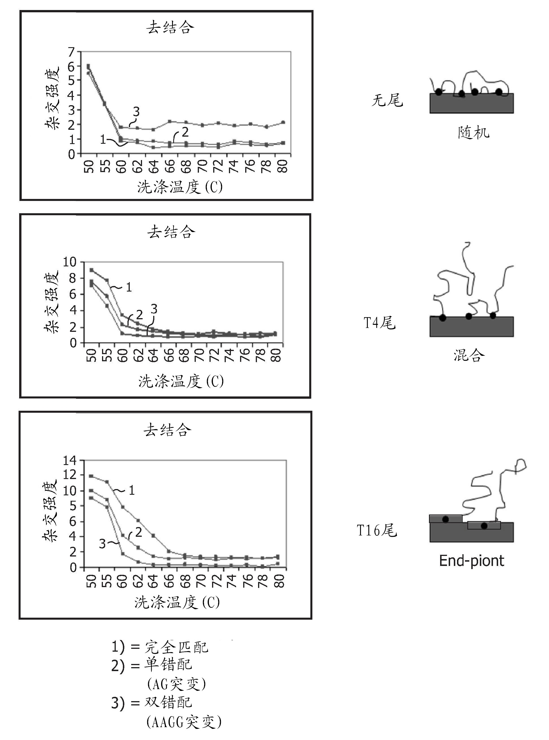 Method for immobilizing nucleic acids on a support