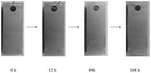 Ultrasonic phosphating solution for carbon steel, preparation method thereof and method for phosphating carbon steel by adopting phosphating solution