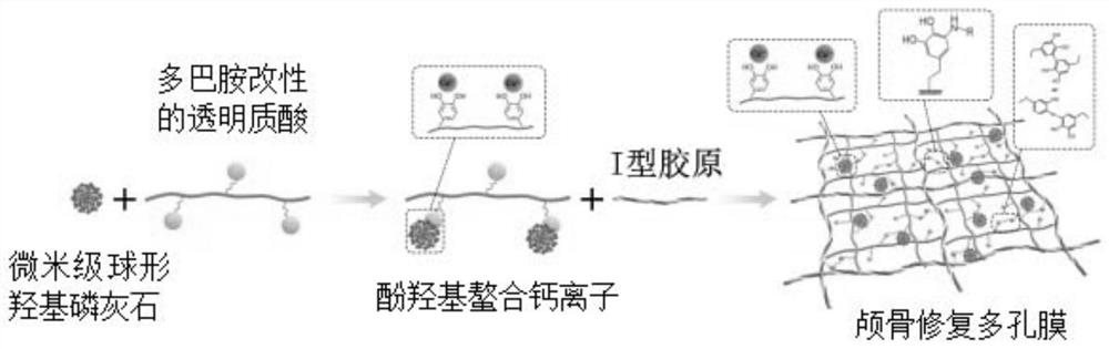 A highly biomimetic bone matrix hybrid cross-linked porous membrane for skull repair and its preparation method