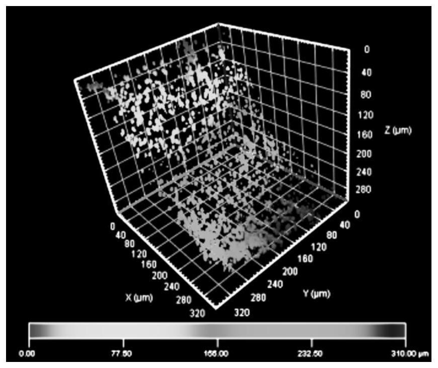 A highly biomimetic bone matrix hybrid cross-linked porous membrane for skull repair and its preparation method