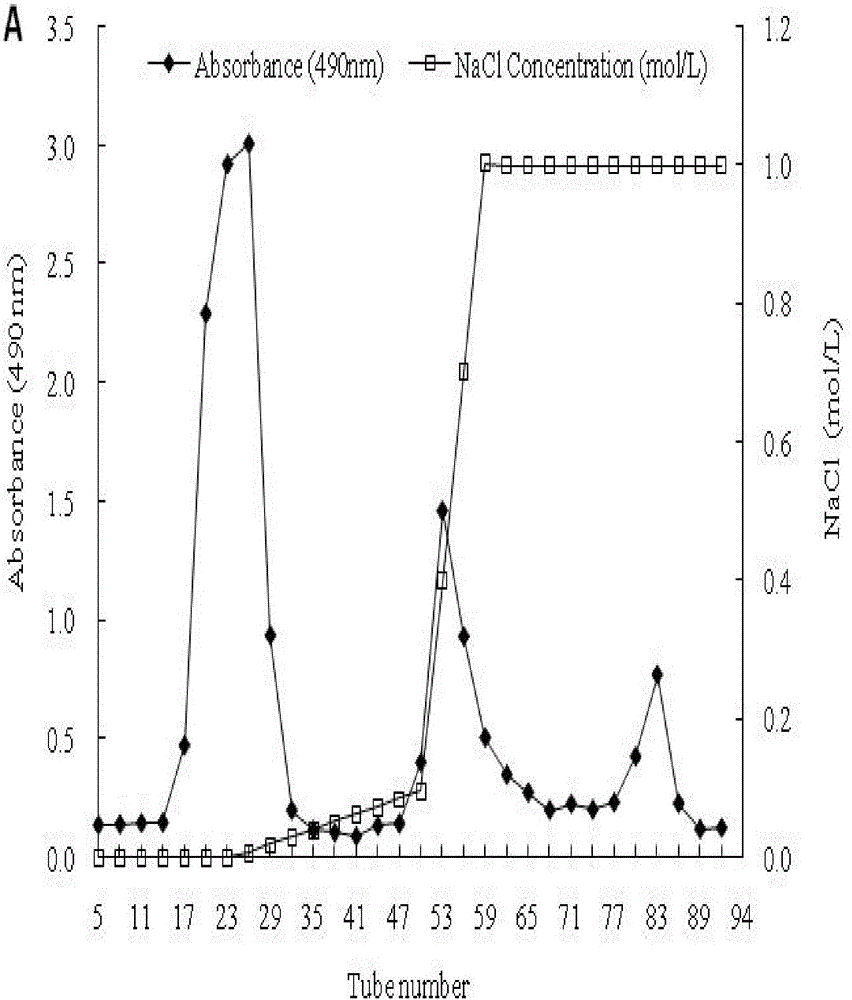 Preparation method of cordyceps militaris active polysaccharide