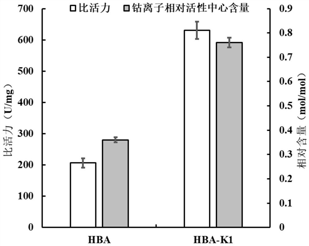 Nitrile hydratase lysine mutant HBA-K1, coding gene and application