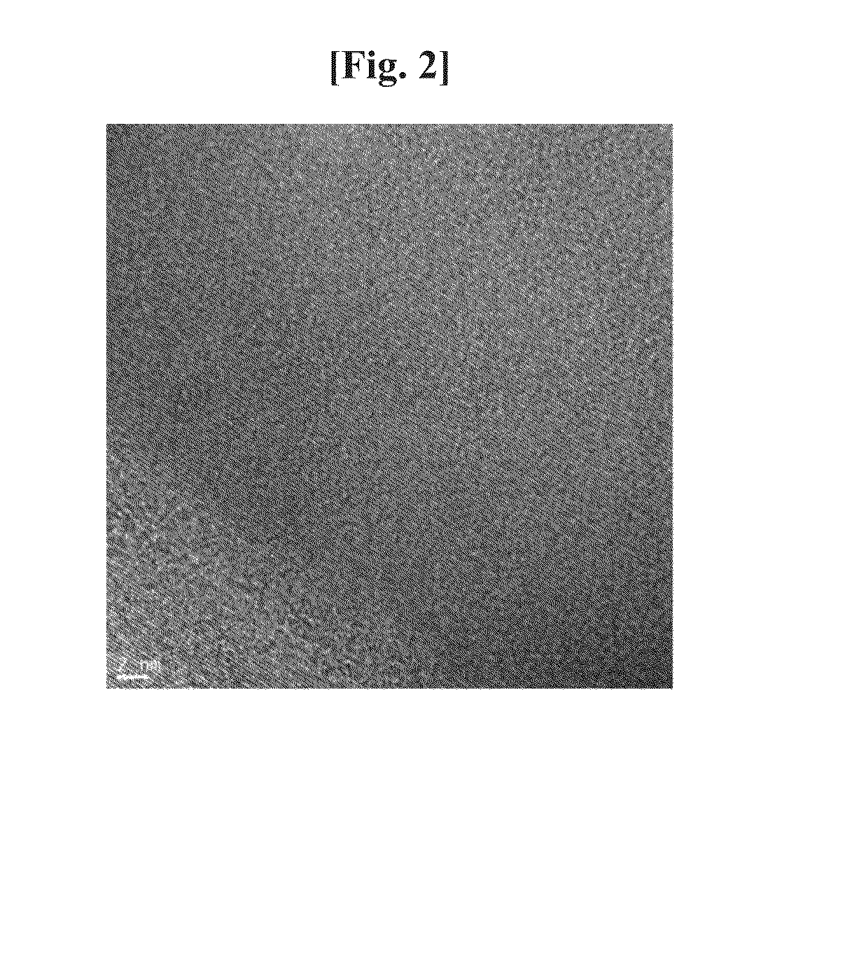 Method of preparing monoatomic layer black phosphorous by irradiating ultrasound