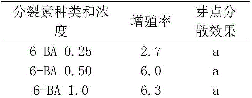 Rapid propagation method of Pinellia ternata stems