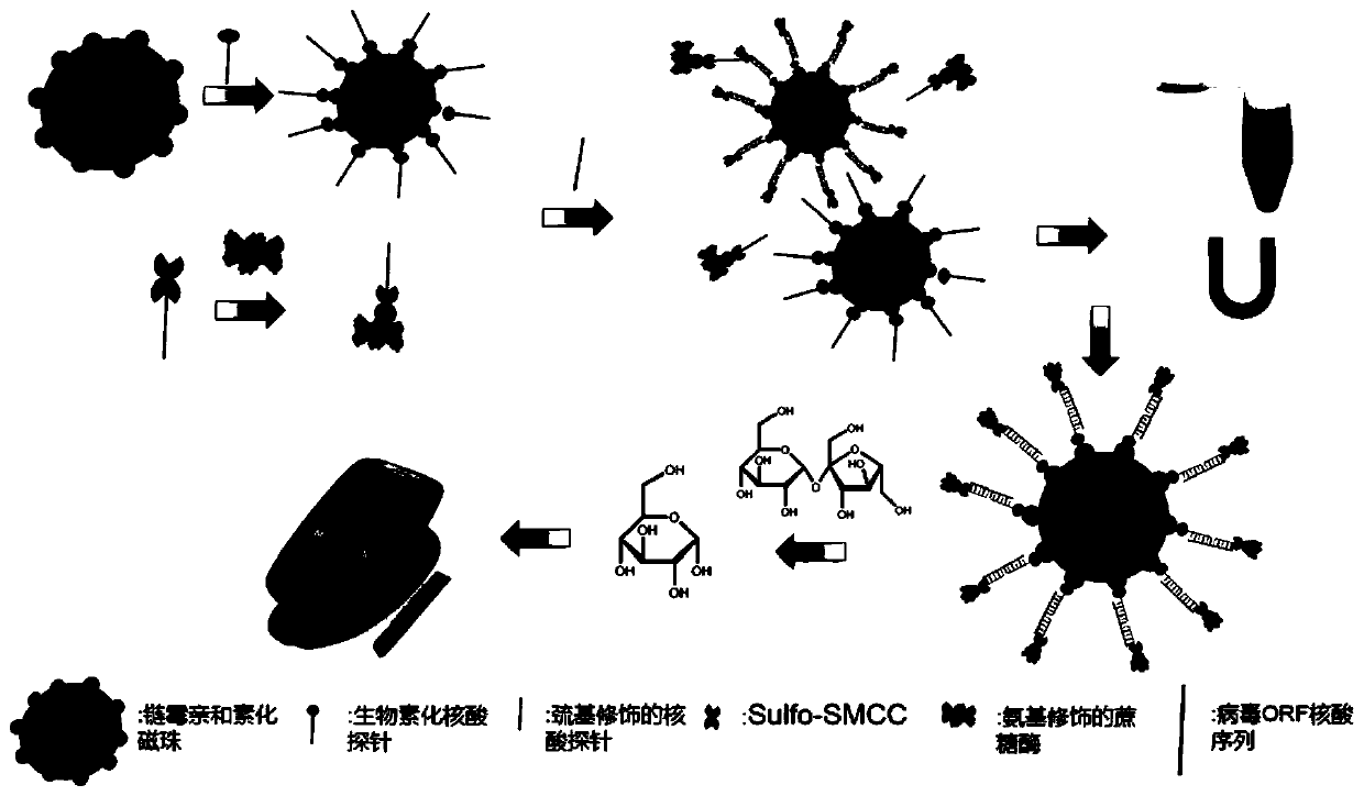 Method for detecting SARS-Cov-2 by using blood glucose meter