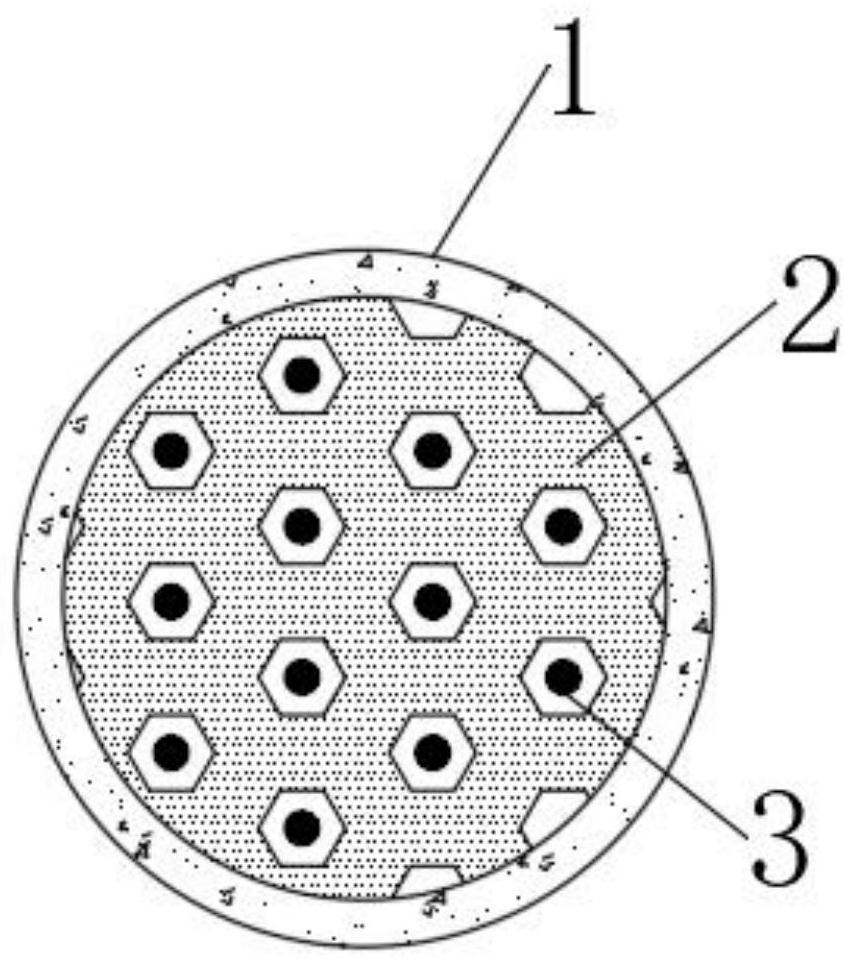 Coated weight-losing solid beverage and preparation method thereof