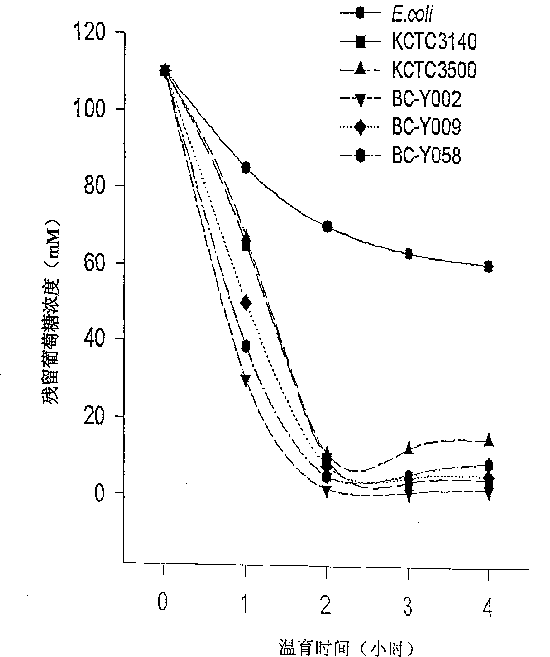 Microorganisms for treatment or prevention of obesity and diabetes mellitus, and pharmaceutical composition containing the same