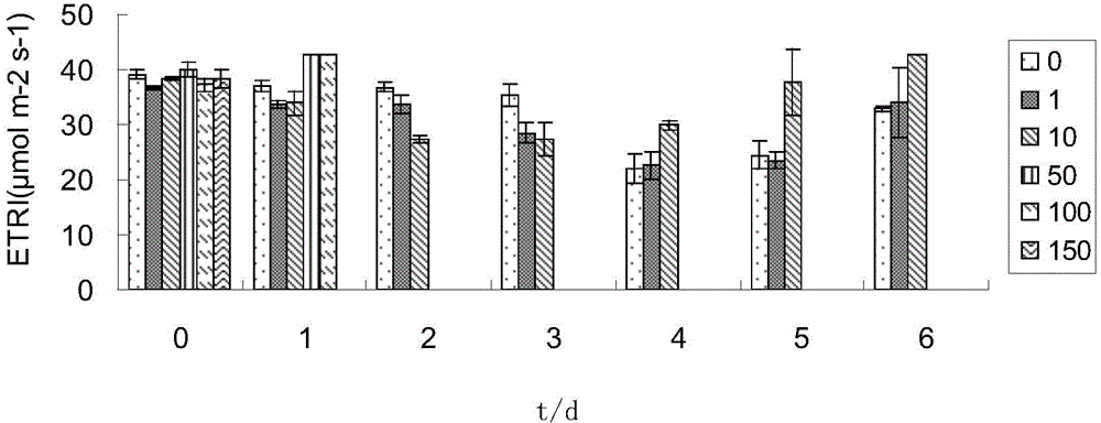 Method for adsorbing heavy metal ions in environment by utilizing macroalgae