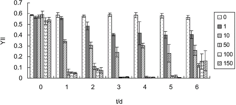 Method for adsorbing heavy metal ions in environment by utilizing macroalgae