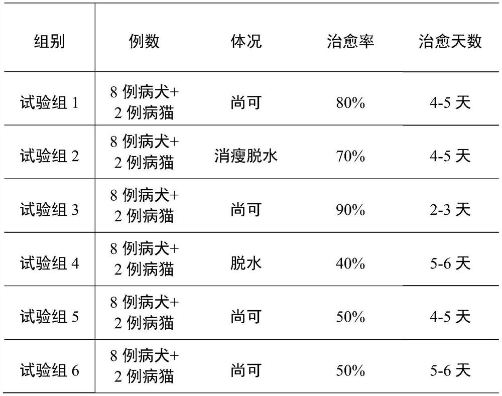 A traditional Chinese medicine composition for treating damp-heat dysentery in pets and its preparation method and application