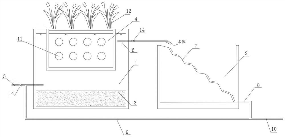 Pseudomonas Y1 with efficient heterotrophic nitrification and aerobic denitrification functions and embedded pellets and application thereof