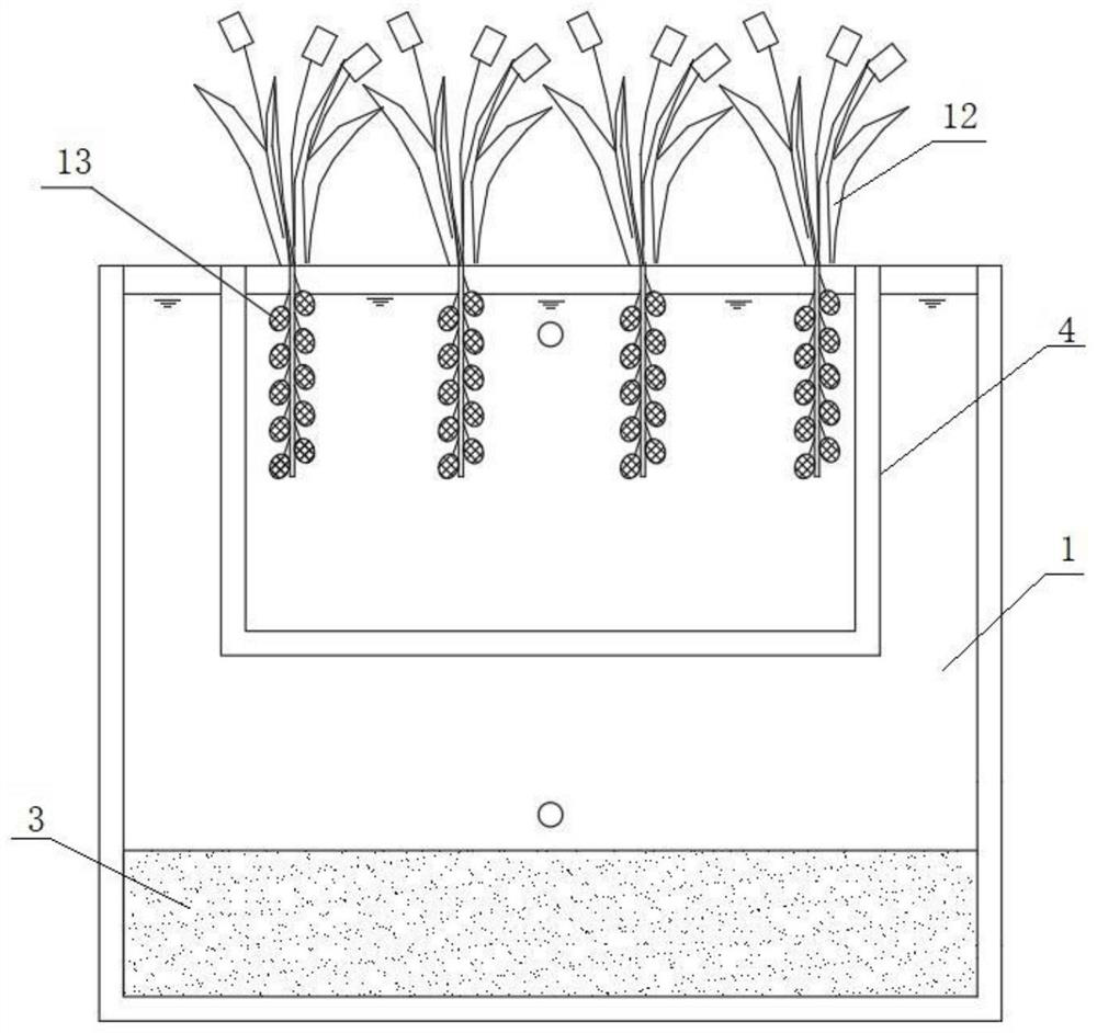 Pseudomonas Y1 with efficient heterotrophic nitrification and aerobic denitrification functions and embedded pellets and application thereof