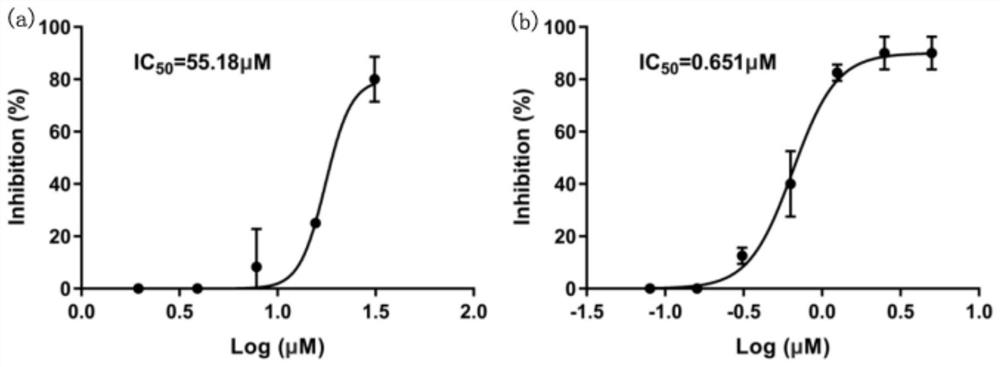 Application of myricetin in preparing medicine for preventing or treating coronavirus and influenza virus