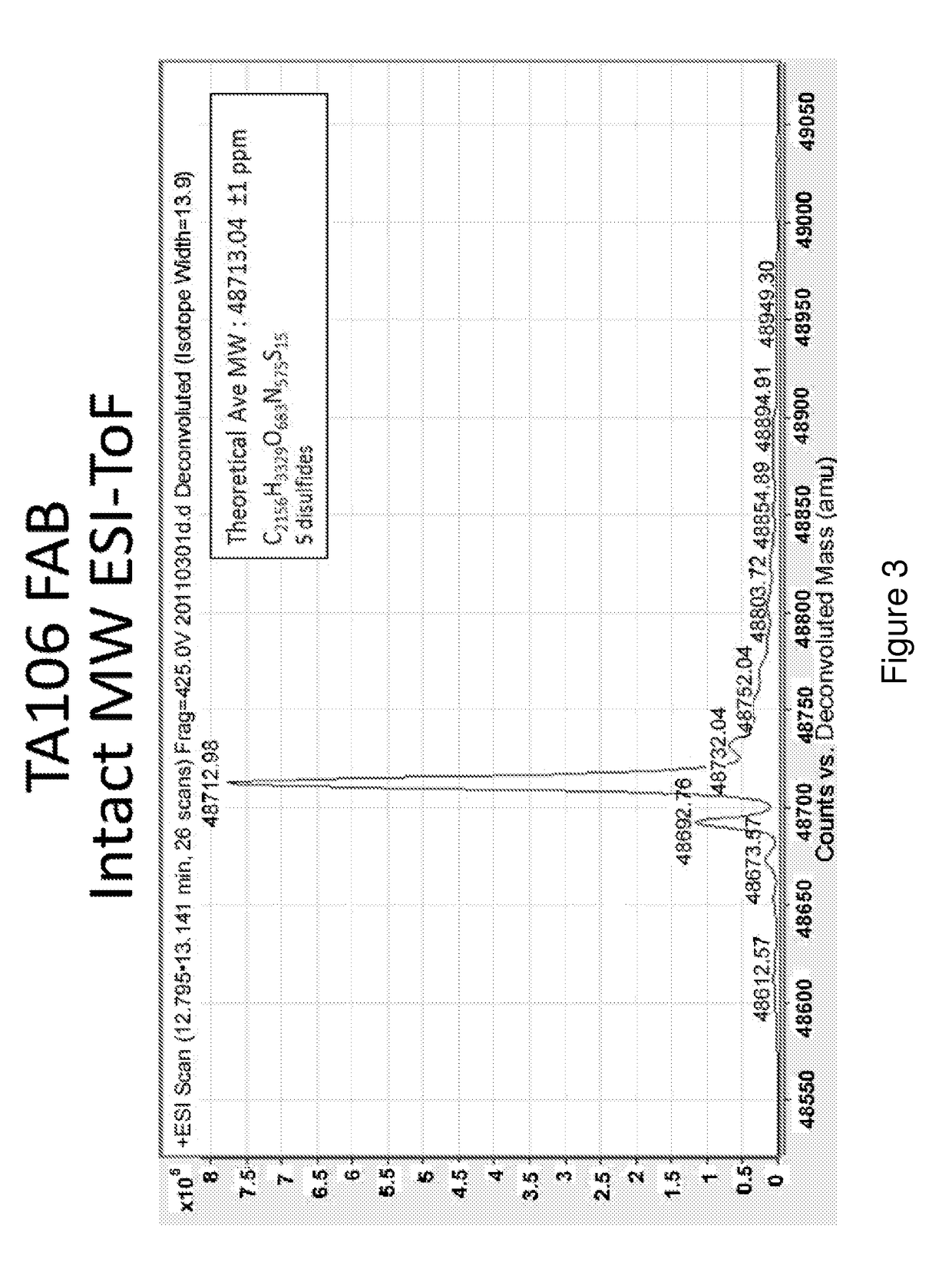 Humaneered anti-factor B antibody