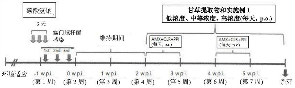 Lonicera japonica flower water extract-containing pharmaceutical composition for preventing or treating helicobacter pylori infection