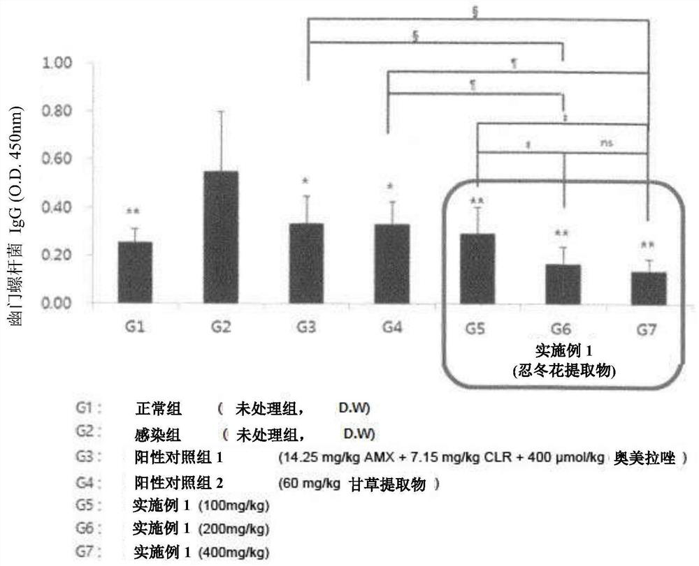 Lonicera japonica flower water extract-containing pharmaceutical composition for preventing or treating helicobacter pylori infection