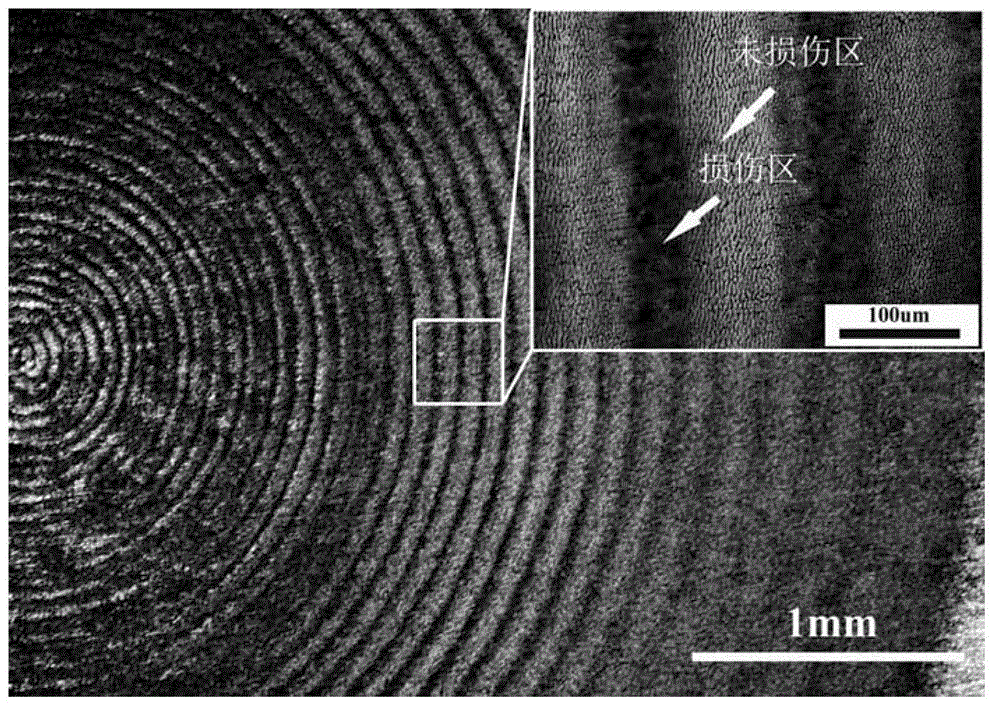 Method for rapidly preparing periodic corrugation structure on basis of premodulation laser