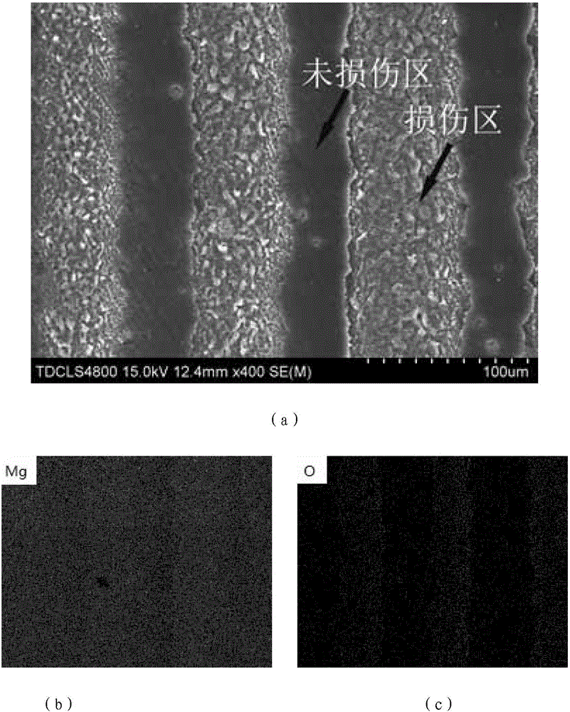 Method for rapidly preparing periodic corrugation structure on basis of premodulation laser