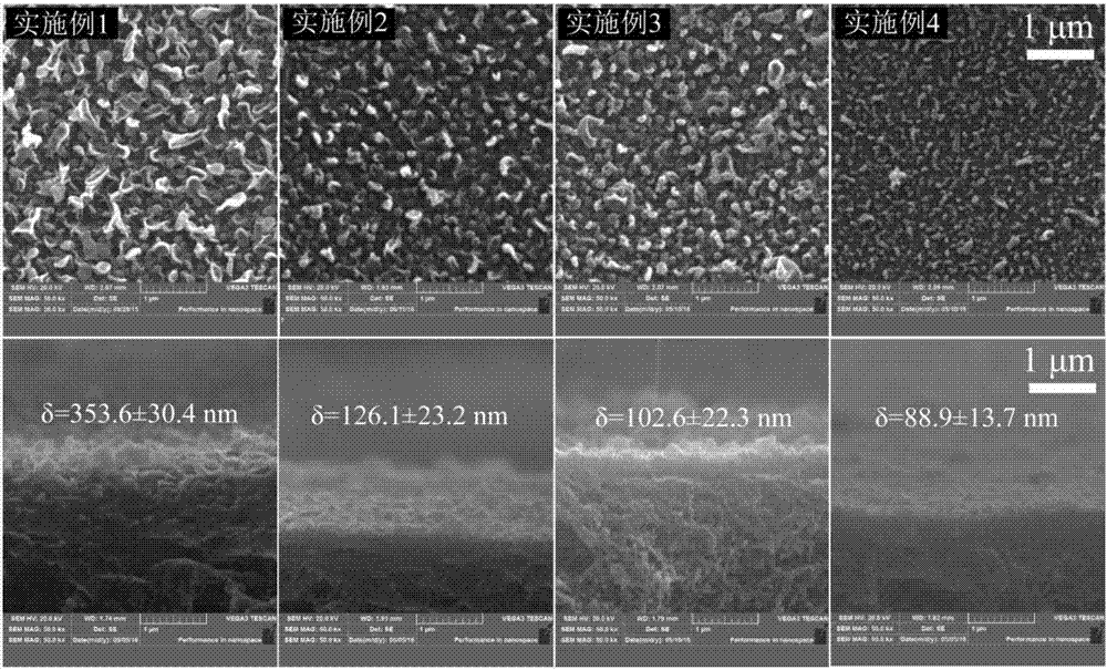 Polyamide film composite membrane and preparation method and application thereof