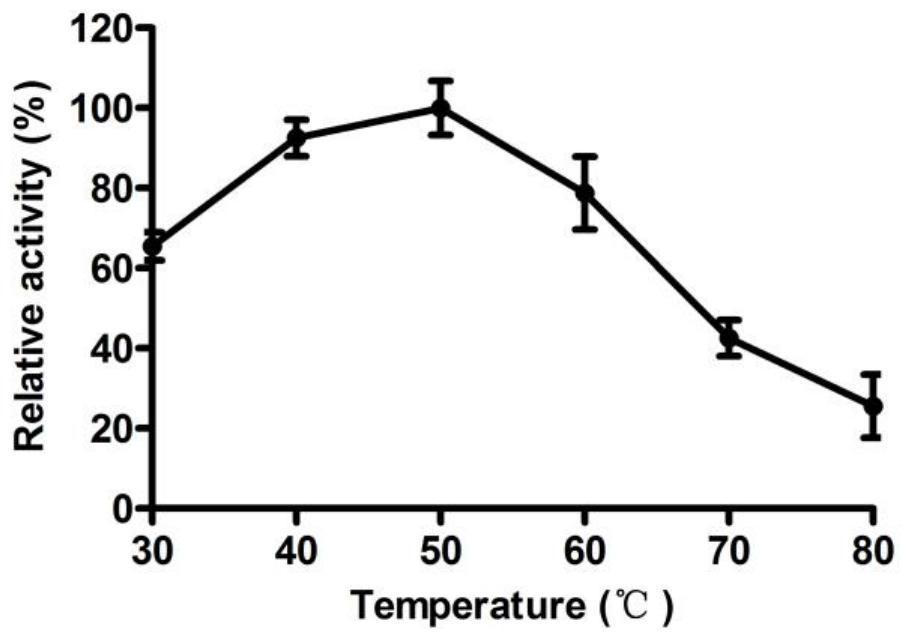 Beta-glucanase as well as coding gene IDSGH5-26 and application thereof