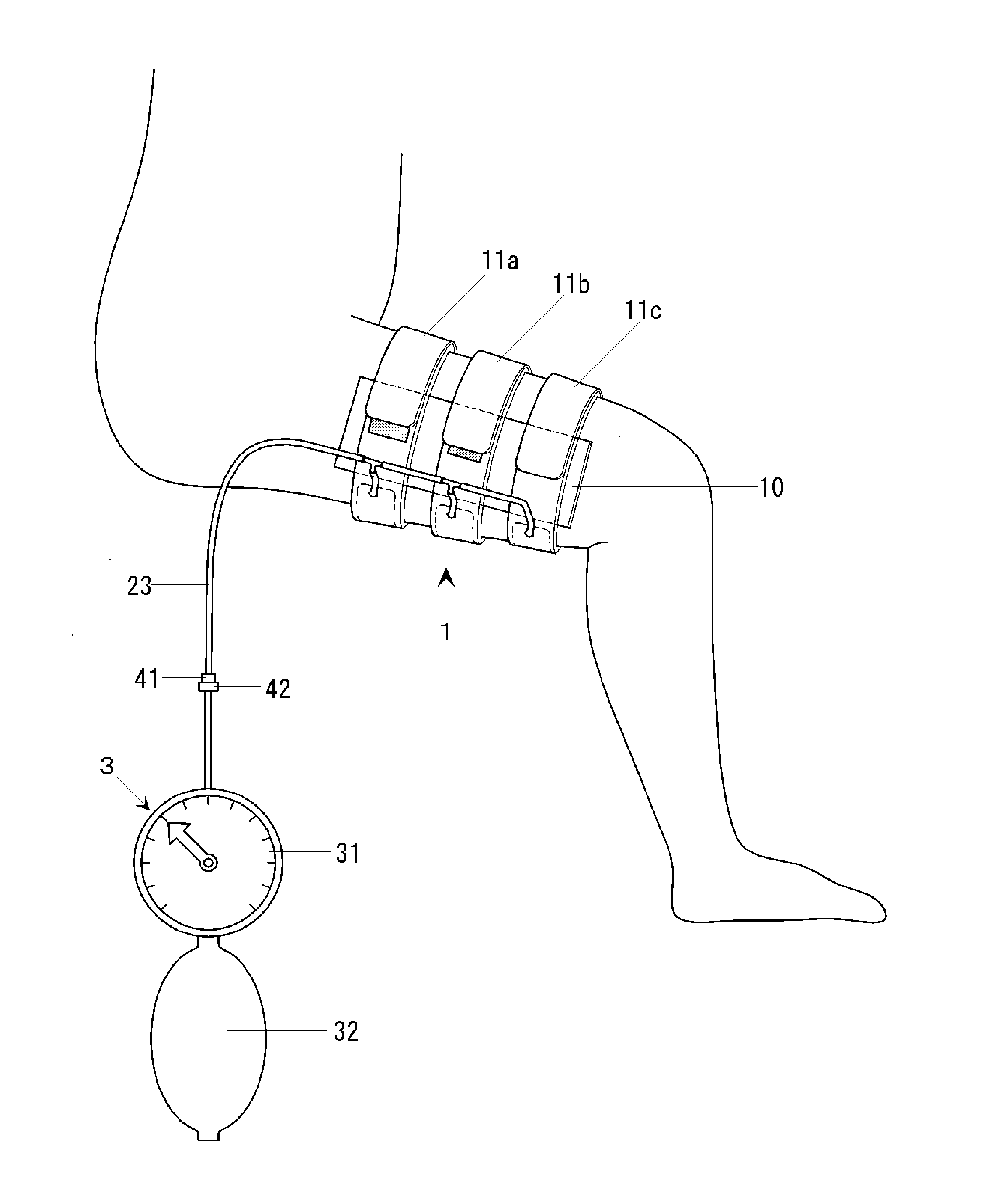 Plural parallel cuff for muscle training by pressurizing limb