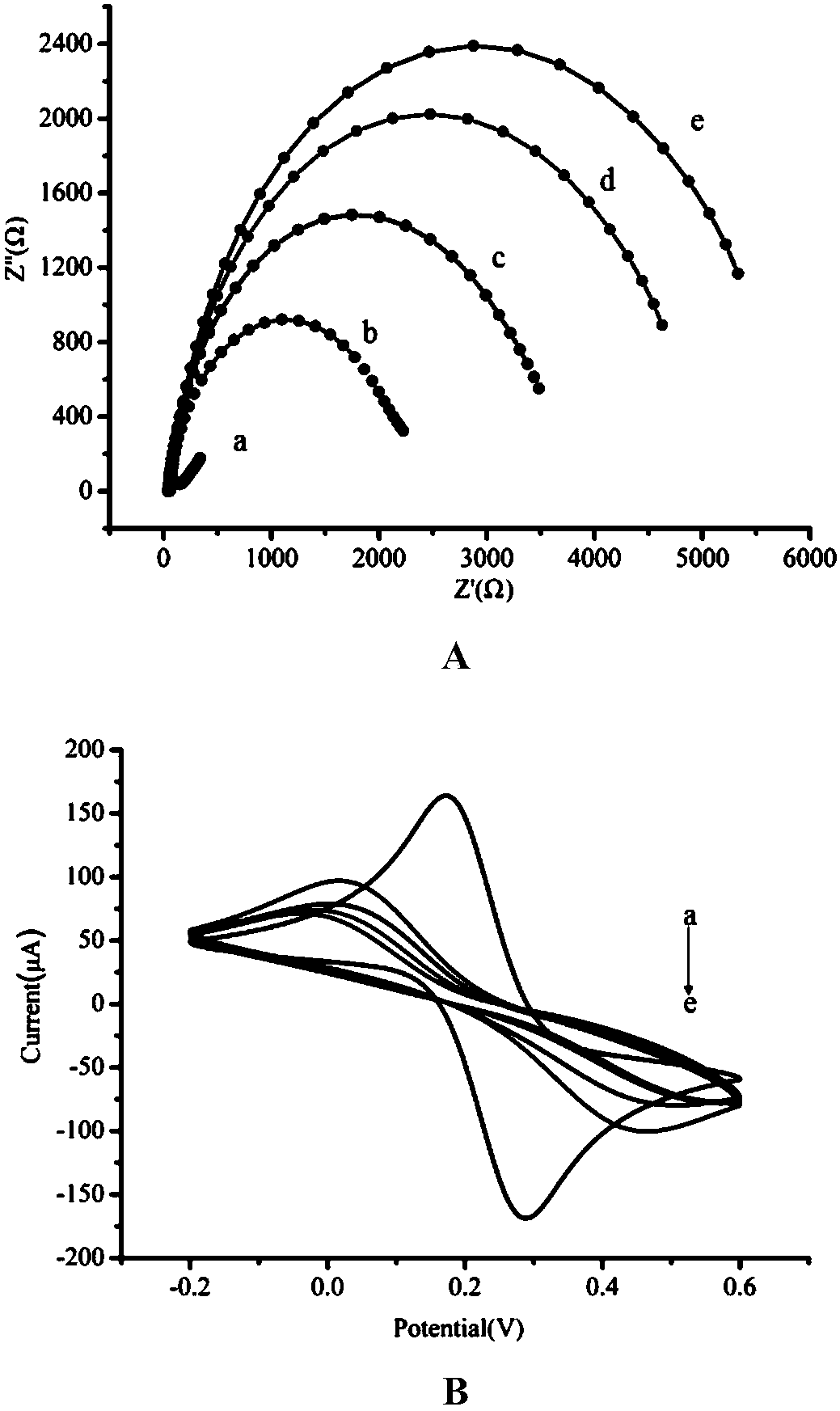 Lactobacillus rhamnosus immunomagnetic beads electrochemical sensor detection method