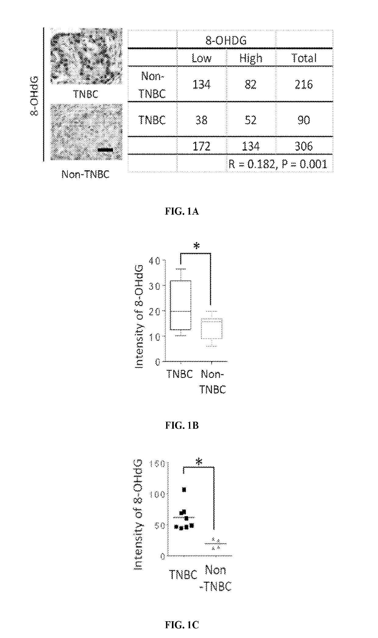 Prediction of response to PARP inhibitors and combinational therapy targeting C-MET and PARP1