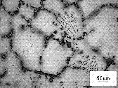 Sr-containing heat-resisting casting magnesium alloy