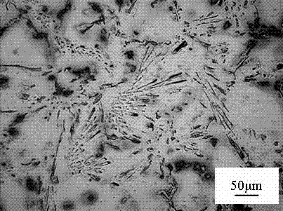 Sr-containing heat-resisting casting magnesium alloy