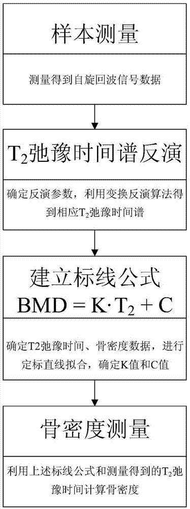 Bone mineral density detection equipment and detection method