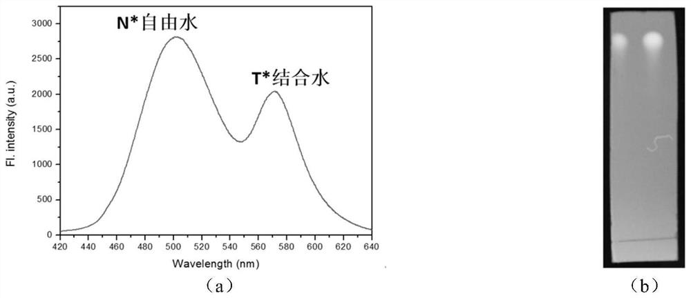 Method for on-line fluorescence detection of water form in soil cultural relics