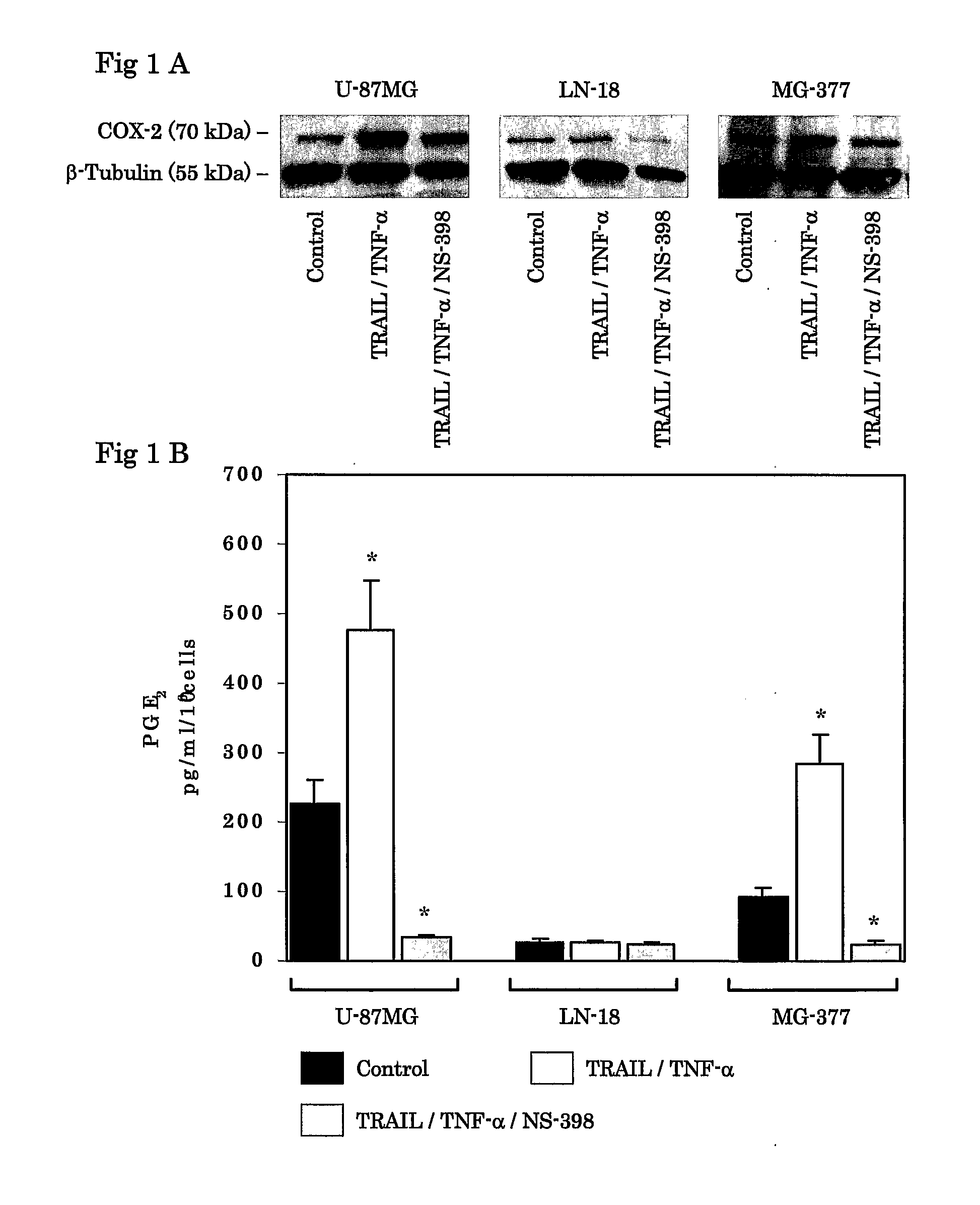 Use Of Cox-2 Inhibitor to Prevent T-Cell Anergy Induced By Dendritic Cell Therapy