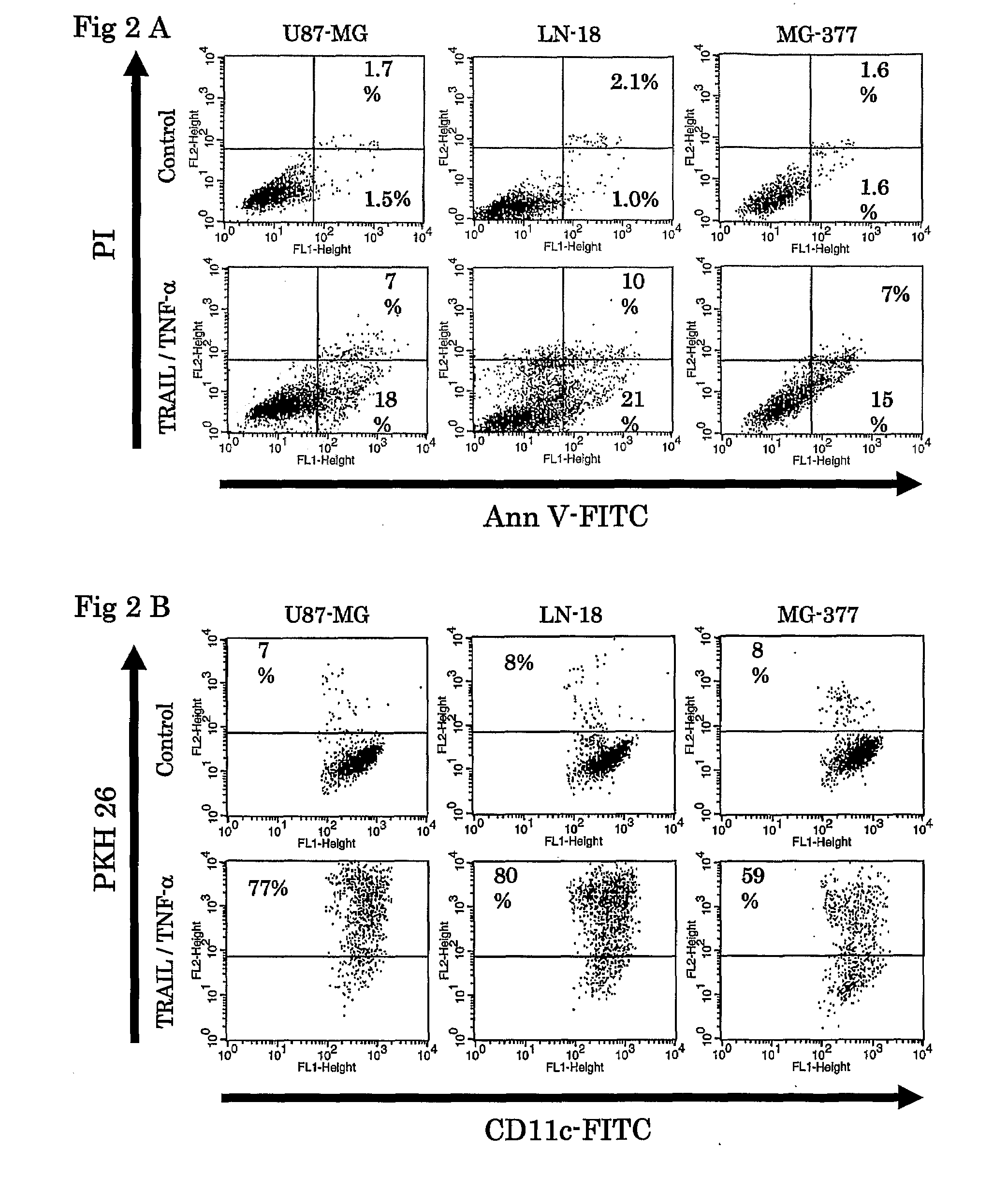 Use Of Cox-2 Inhibitor to Prevent T-Cell Anergy Induced By Dendritic Cell Therapy