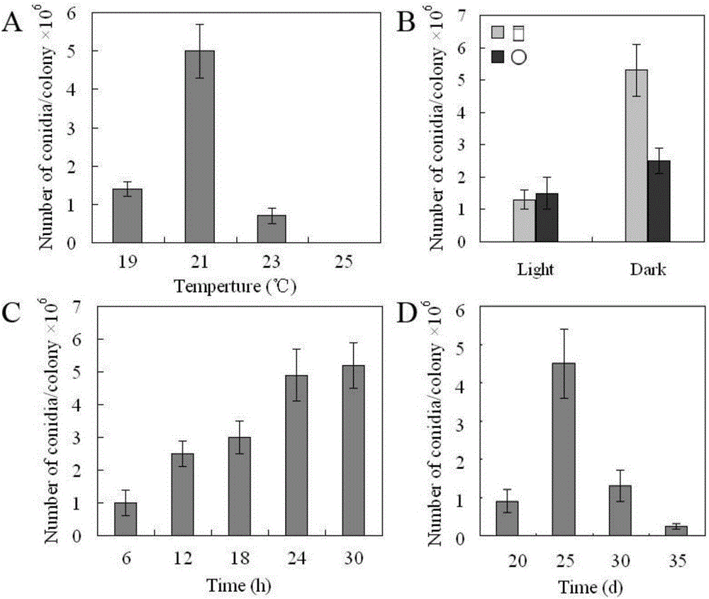 Method for inducing grape elsinoe ampelina to produce spores