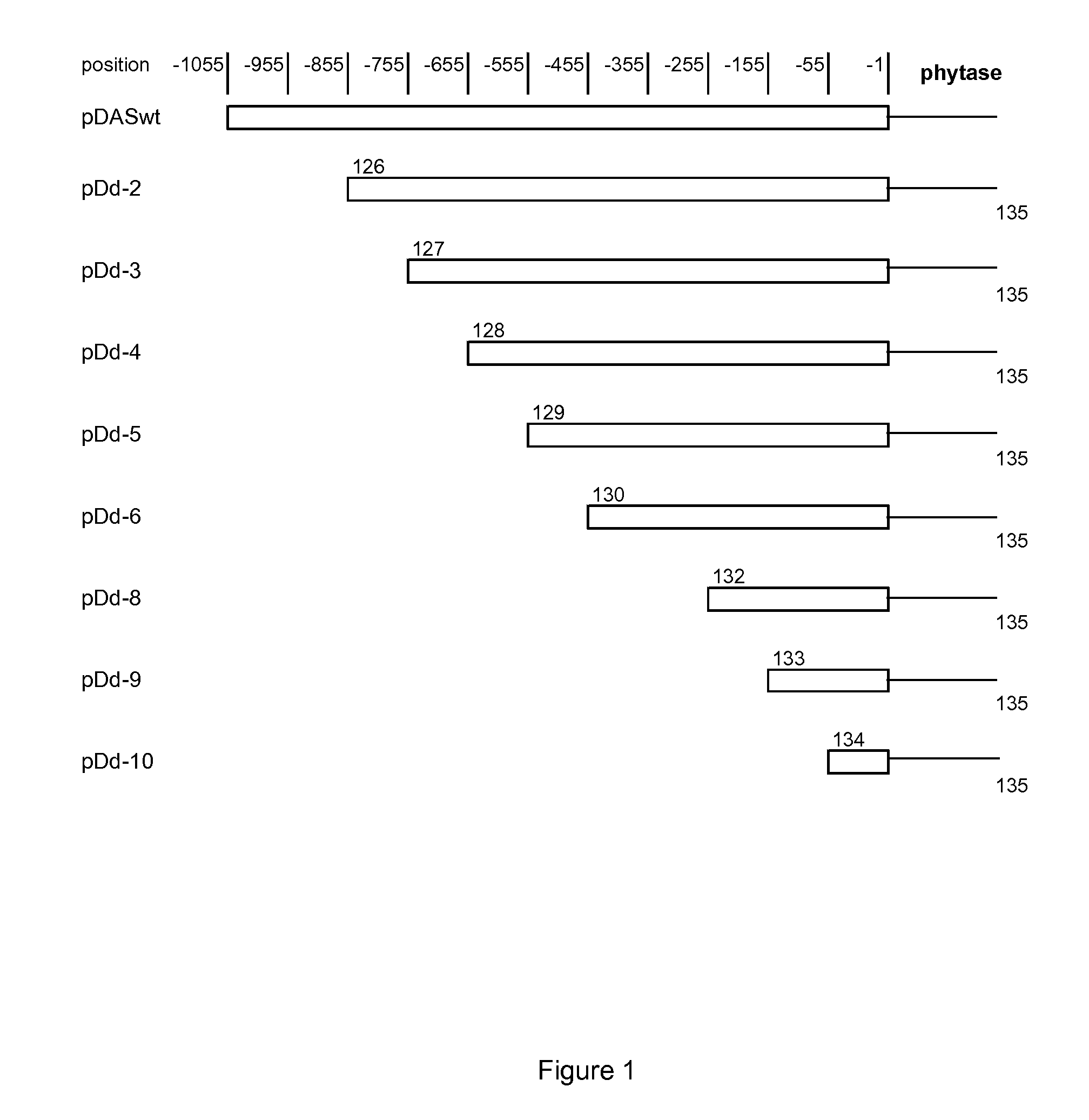 Pichia Pastoris Das Promoter Variants