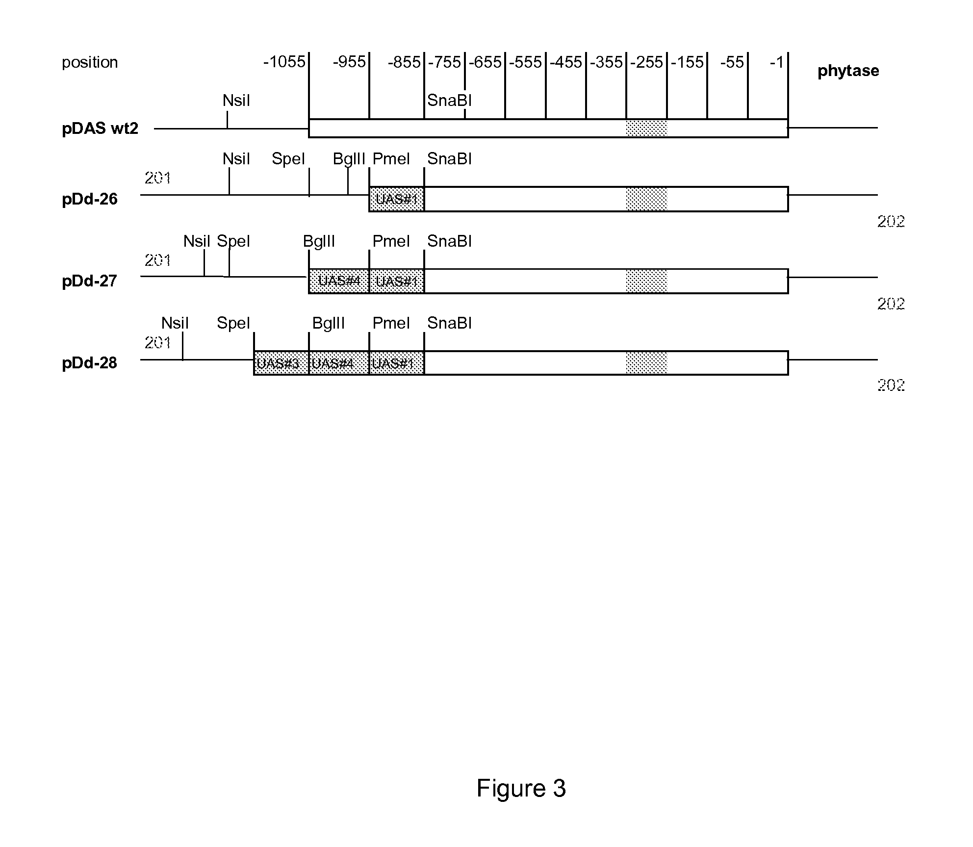 Pichia Pastoris Das Promoter Variants