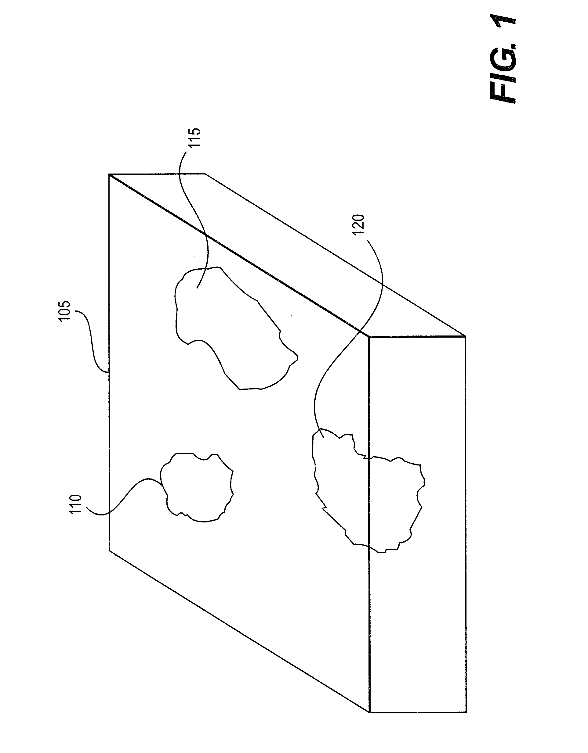 System and method for providing assessment of tumor and other biological components contained in tissue biopsy samples