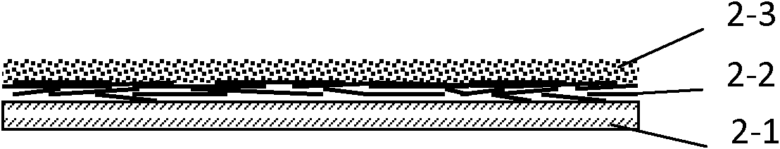 Transparent conductive film and preparation method of transparent conductive film