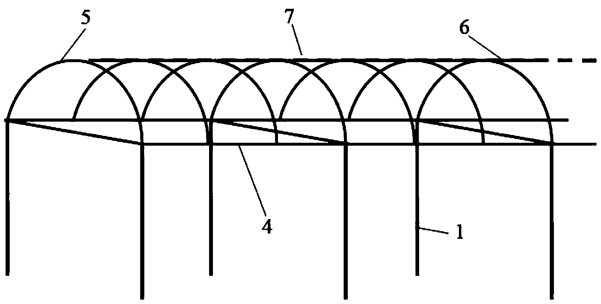 Actinidia cultivation method capable of adjusting illumination