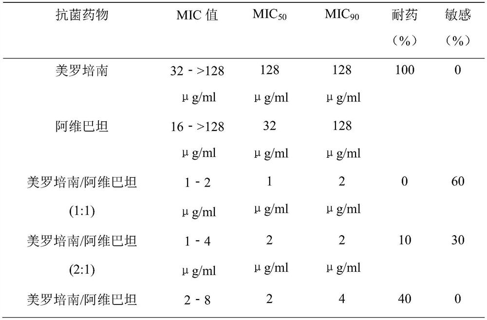 Antibacterial composition containing avibactam and meropenem and application thereof