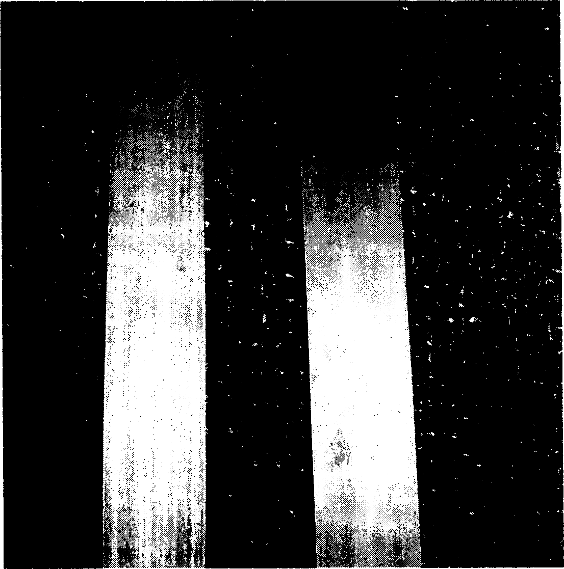 Middle content chromium copper, iron-containing antiseptic anticreas rustless steel sheet belt and its production method